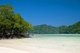 Thailand: Mangroves on Mae Ngam Beach, Ko Surin Nua, Surin Islands Marine National Park